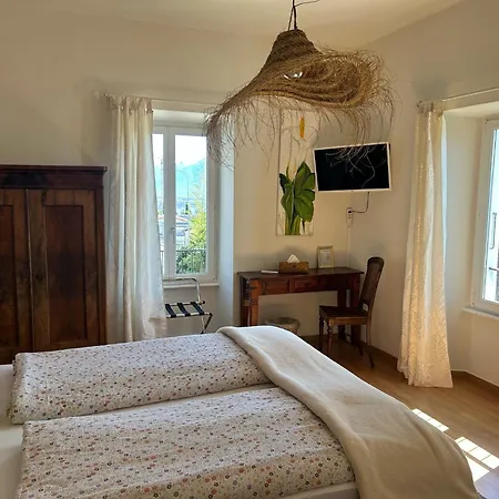 Olanda Zajazd Locarno