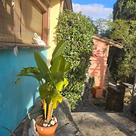 Olanda Λοκάρνο